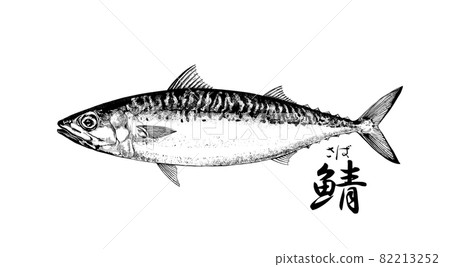 Illustration of chub mackerel --Transparent background --Cut out 82213252