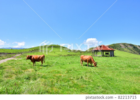 阿蘇風景阿卡牛九重阿蘇國立公園 82213715
