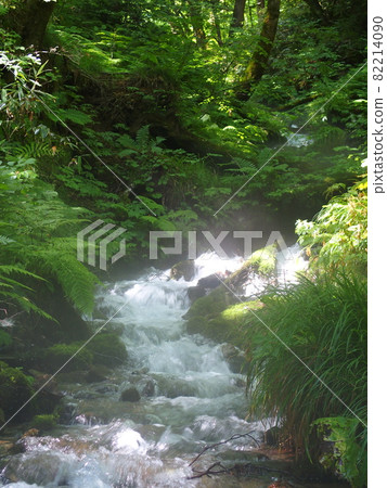 Shimizu of boiling pot pond Shirakami Mountains Juniko water flow 82214090