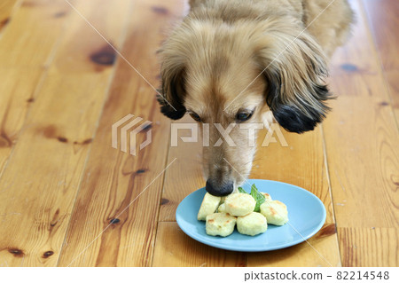 Homemade food for outlet miniature dachshund