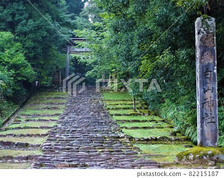白山神社區域 82215187