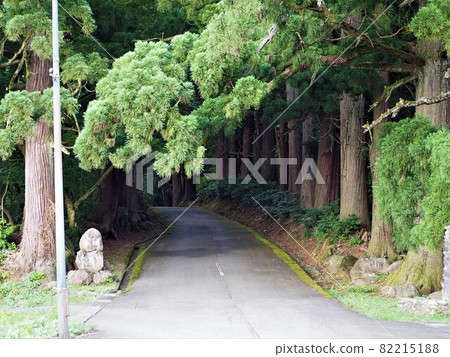 莆田林素食主義者 82215188