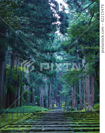 平千寺白山神社 82215479
