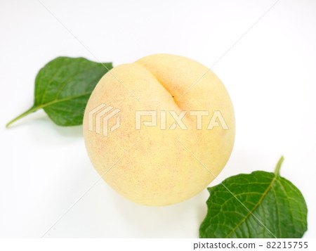 白桃桃桃桃桃 白桃桃桃桃桃 82215755