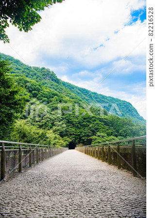 [群馬縣安中市]臼井三橋梅根橋 82216528