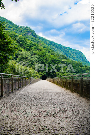 [群馬縣安中市]臼井三橋梅根橋 82216529