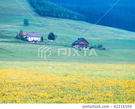 德國施瓦特瓦爾德唐娜埃森根私人住宅在鮮花和草地上 82216569