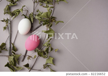 Eggs with beautiful eggshell, pink and white colors with dried maple twigs, leaves flat lay on pastel neutral cream grey color background. Eggs with beautiful eggshell, pink and white colors with dried maple twigs, leaves flat lay on pastel neutral cream grey color background. 82216652