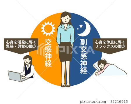 交感神經和副交感神經功能和平衡 82216915