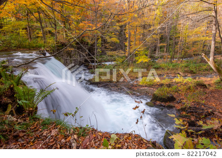 Kinshu Oirase Gorge 82217042