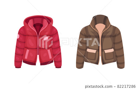 Fashionable women outerwear set. Stylish winter, spring or autumn clothing vector illustration 82217286