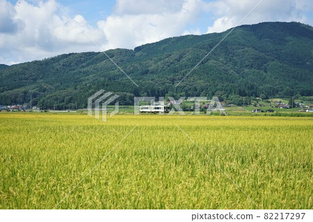 秋季遠野JR釜石線、稻穗 82217297