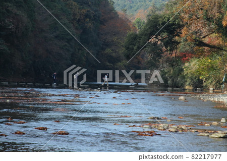 Kamikita湖黃色葉子 82217977