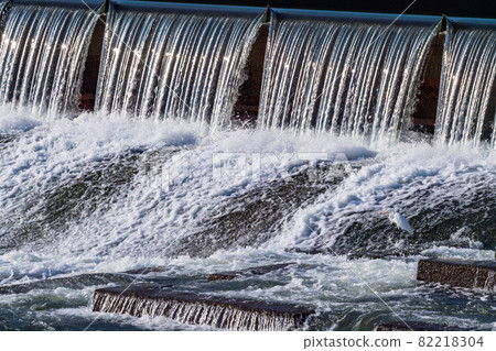 黃昏時分，流經白石堰的河水秀美，水鳥翩翩白鷺。 82218304