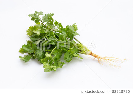 Fresh coriander leaves on white background. 82218750