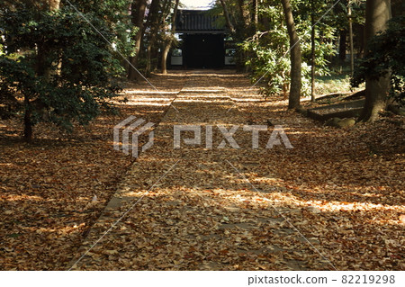 Autumn leaves at Tafukuji Temple in Miyoshi Town 82219298