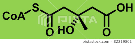 "HMG-CoA", a raw material for cholesterol that causes dyslipidemia 82219801