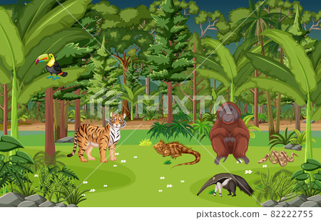 Forest scene with different wild animals Forest scene with different wild animals 82222755