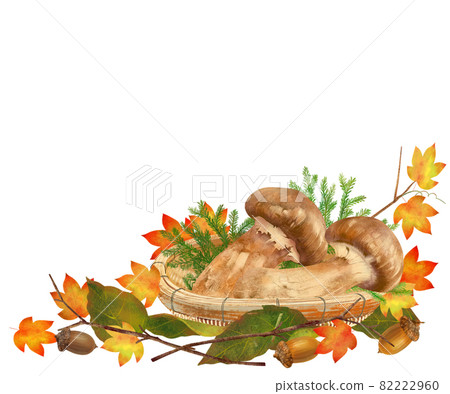 籃子裡的什錦松茸、楓葉、橡子等。秋天的味道白色背景矢量圖素材 82222960