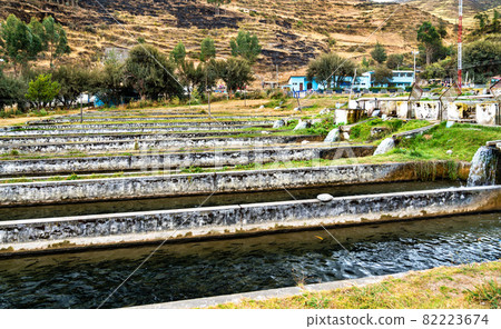Trout fish farm at Ingenio in Junin, Peru Trout fish farm at Ingenio in Junin, Peru 82223674