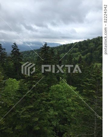 View from Matsumi Ohashi 82224342