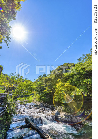 Kanagawa Prefecture Hakone Yumoto Sukumogawa 82225222