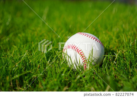 Baseball ball placed on bright outdoor natural grass Baseball ball placed on bright outdoor natural grass 82227074