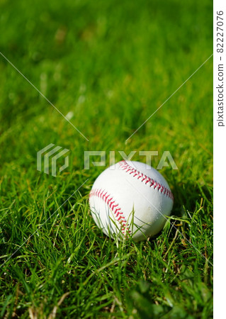 Baseball ball placed on bright outdoor natural grass 82227076