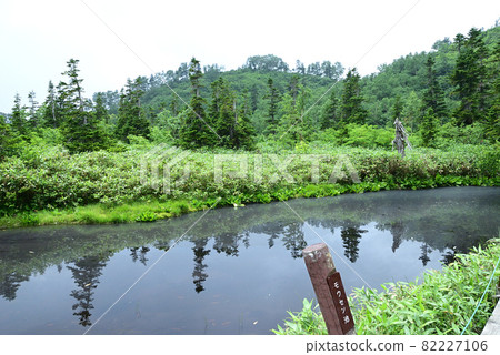 Summer Tsugaike Natural Garden Mousen Pond 82227106