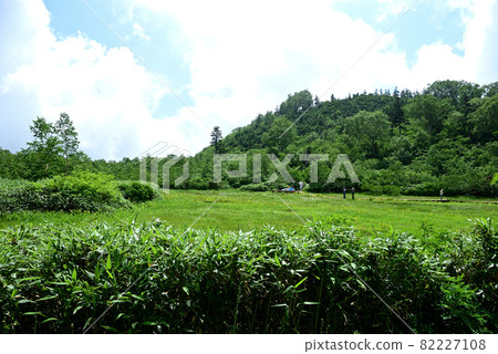 夏天的Tsugaike Natural Garden徒步旅行者去花園 夏天的Tsugaike Natural Garden徒步旅行者去花園 82227108