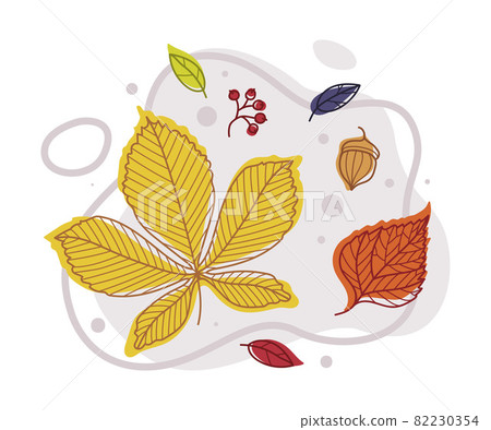 Autumn Bright Foliage with Different Leaf Color Vector Composition 82230354