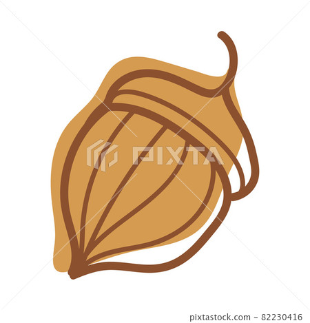 Acorn or Oaknut in Shell as Autumn and Fall Symbol Vector Illustration Acorn or Oaknut in Shell as Autumn and Fall Symbol Vector Illustration 82230416
