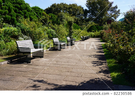 一個山公園長椅，在那裡你可以看到海港 82230586