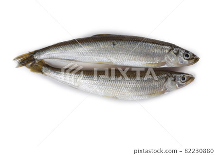 Smelt fish isolated on white. Pacific smelt variety 82230880