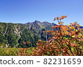 Northern Alps in the autumn leaves season 82231659
