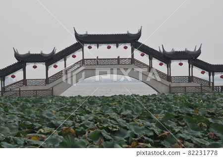 China, Jiangsu Province, Jinxizhen, Ancient Lotus Pond, Ancient Lotus Nagatsumi and Santei Bridge, Water Town, Ancient Town (a charming town with an old townscape) 82231778