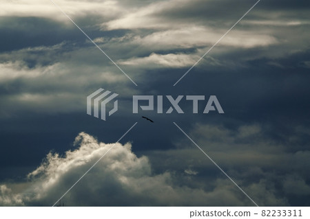 Early autumn morning sky, clouds illuminated by the morning sun 82233311