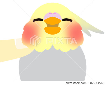 玄鳳鸚鵡柿子 玄鳳鸚鵡柿子 82233563