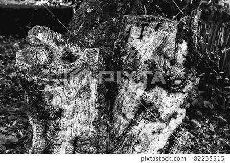 Stubble Stubble 82235515