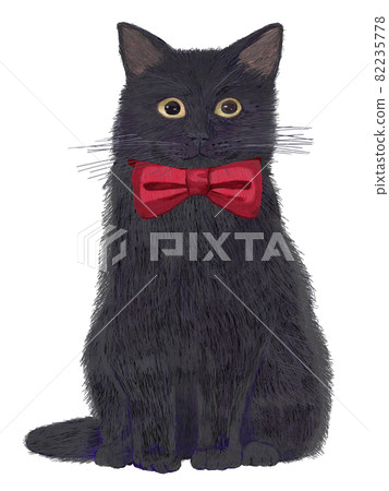 Black cat with ribbon sitting in front _ real touch 82235778