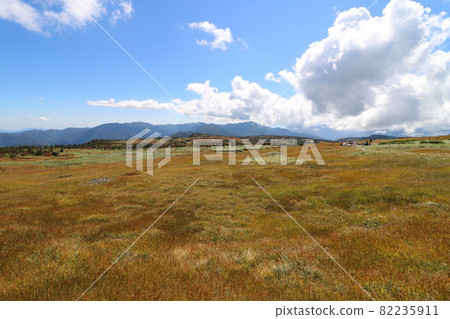 Climbing Mt. Naeba in Niigata Prefecture in autumn in September 2021 Climbing Mt. Naeba in Niigata Prefecture in autumn in September 2021 82235911
