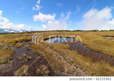 Climbing Mt. Naeba in Niigata Prefecture in autumn in September 2021 82235982