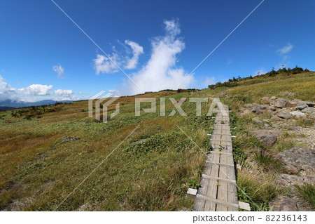 Climbing Mt. Naeba in Niigata Prefecture in autumn in September 2021 Climbing Mt. Naeba in Niigata Prefecture in autumn in September 2021 82236143