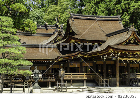 Taga Taisha Shrine, Taga Town, Inukami District, Shiga Prefecture 82236355