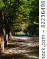 This is a picture of an autumn landscape. 82236498