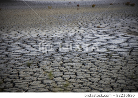 破碎的土地 82236650