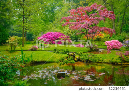 Japanese garden, Park Clingendael, The Hague, Netherlands 82236661