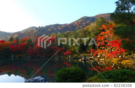 Autumn scenery at Tenryuji Temple in Kyoto, Japan 82238108