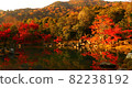 Kyoto Arashiyama Tenryu-ji Temple Autumn scenery Kyoto Arashiyama Tenryu-ji Temple Autumn scenery 82238192