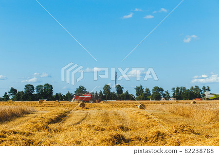 Combine harvester harvesting wheat 82238788